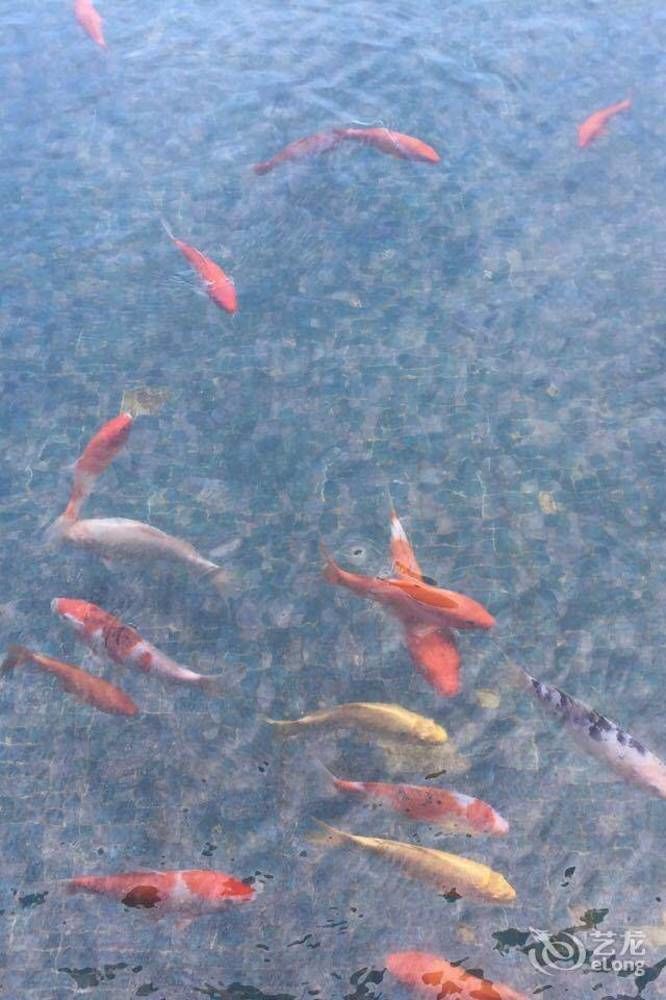 博鳌金湾康斯宾悦度假酒店 琼海 外观 照片